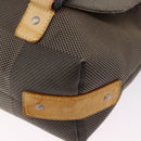 LOUIS VUITTON Damier Geant Roux Shoulder Bag Tail M93077 LV Auth ep15689-15