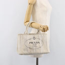PRADA Canapa PM Hand Bag Canvas Gray Gold Auth ep15913-27