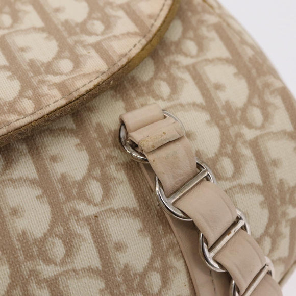 Christian Dior Trotter Canvas Romantic Hand Bag PVC Beige Silver Auth ep16386