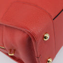 LOEWE Amazona 36 Hand Bag Leather Red Gold Auth ep17132A-11