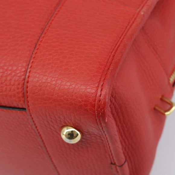 LOEWE Amazona 36 Hand Bag Leather Red Gold Auth ep17132A