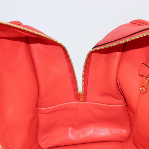 LOEWE Amazona 36 Hand Bag Leather Red Gold Auth ep17132A