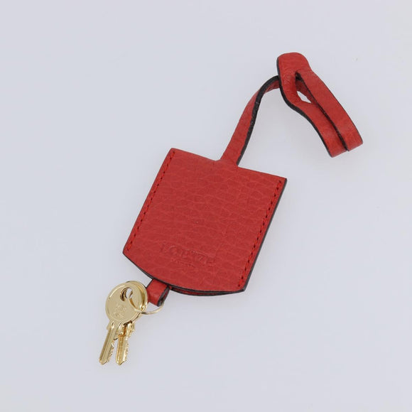 LOEWE Amazona 36 Hand Bag Leather Red Gold Auth ep17132A