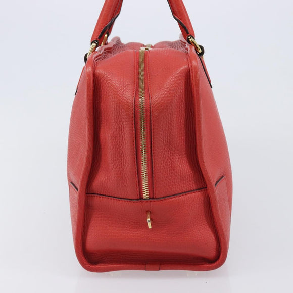 LOEWE Amazona 36 Hand Bag Leather Red Gold Auth ep17132A