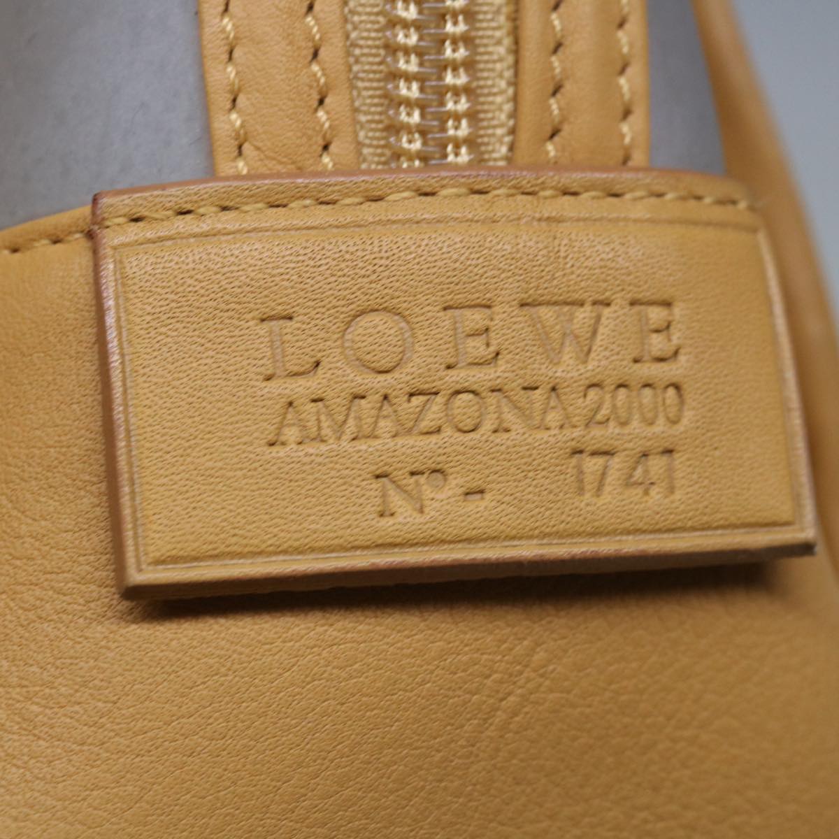 LOEWE Amazona Hand Bag Rubber Clear Auth ep3280