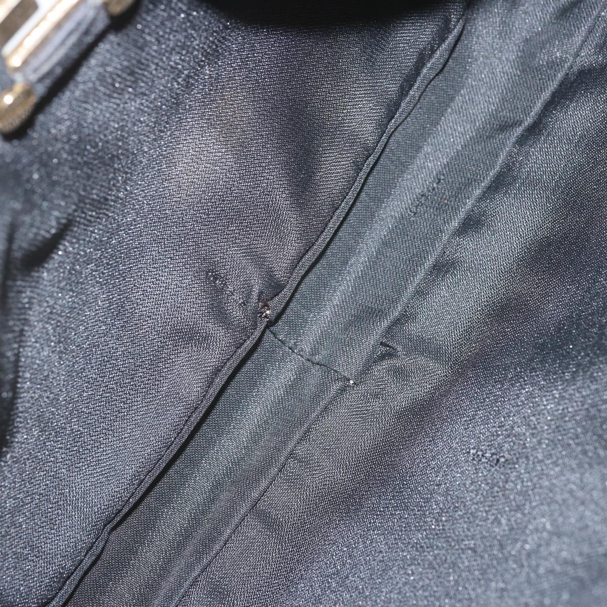 FENDI Shoulder Bag Nylon Black Auth ep3642