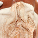 GUCCI Bamboo Hand Bag Leather Brown Gold 001 2404 6380 Auth ep5472-19