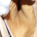 GUCCI GG Plus Supreme Shoulder Bag PVC Beige Gold Auth ep6338-12