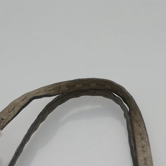 FENDI Celeria Hand Bag Leather Silver Auth ep7070