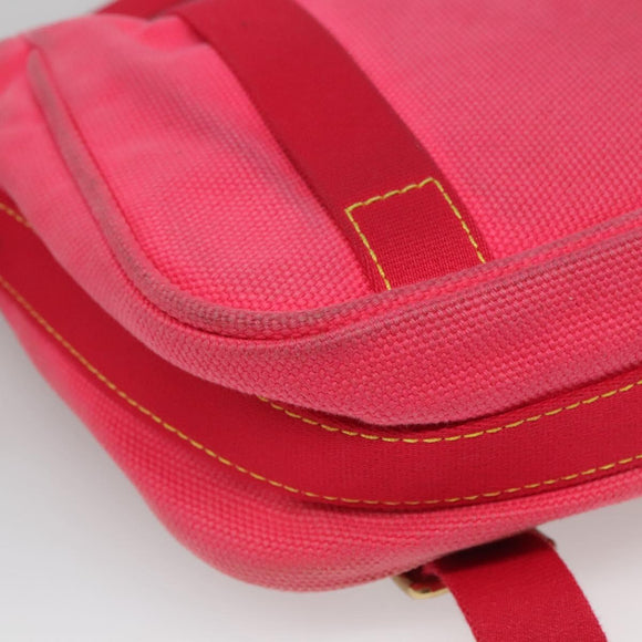 LOUIS VUITTON Antigua Busas PM Shoulder Bag Pink M40071 LV Auth ep9043