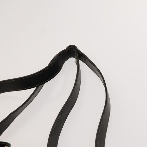 FENDI Pecan Canvas Backpack PVC Brown Black gold Auth ep9067