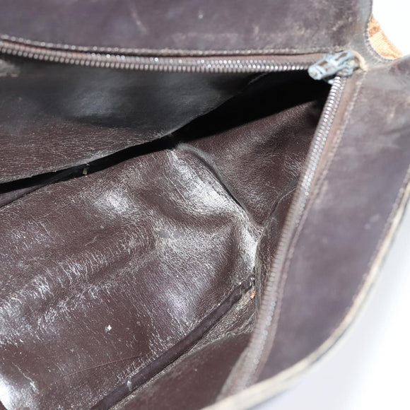 Christian Dior Trotter Canvas Shoulder Bag Brown Gold Auth ep9706