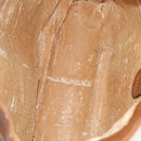 GUCCI Bamboo Hand Bag Leather 2way Brown Gold 001 0166 1638 Auth ep9829-10