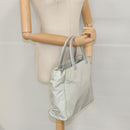 PRADA Hand Bag Nylon Gray Auth fm3988-23