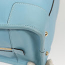 LOEWE Anagram Amazona 28 Hand Bag Leather Light Blue Gold Auth fm4572-16