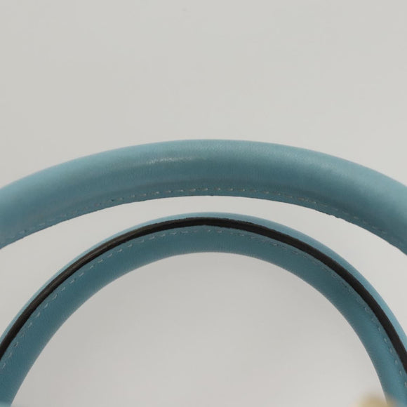 LOEWE Anagram Amazona 28 Hand Bag Leather Light Blue Gold Auth fm4572