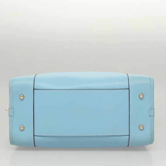 LOEWE Anagram Amazona 28 Hand Bag Leather Light Blue Gold Auth fm4572