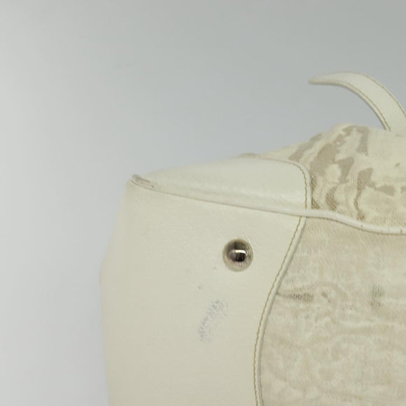 PRADA Shoulder Bag Canvas Silver White Auth fm4672