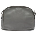 Christian Dior Shoulder Bag Leather Gray Gold Auth fm4687-2
