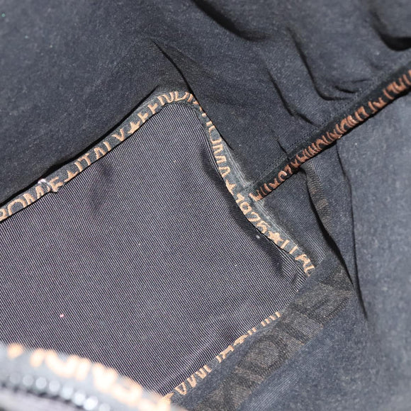 FENDI Hand Bag Nylon Black Auth fm4706