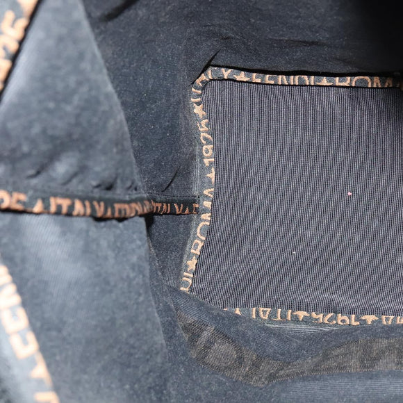 FENDI Hand Bag Nylon Black Auth fm4706