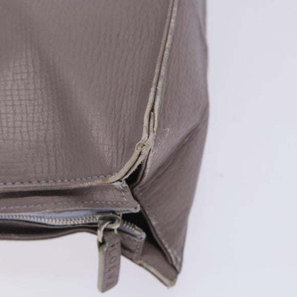 LOEWE Shoulder Bag Leather Gray Silver Auth fm4815