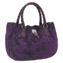 Christian Dior Canage Hand Bag Nylon Purple Silver Auth fm5125-1