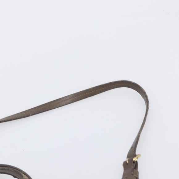 LOUIS VUITTON LumineusePM Hand Bag 2way Bag Brown Ombre M93409 LV Auth fm5452