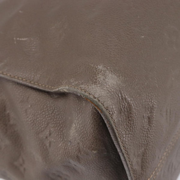 LOUIS VUITTON LumineusePM Hand Bag 2way Bag Brown Ombre M93409 LV Auth fm5452