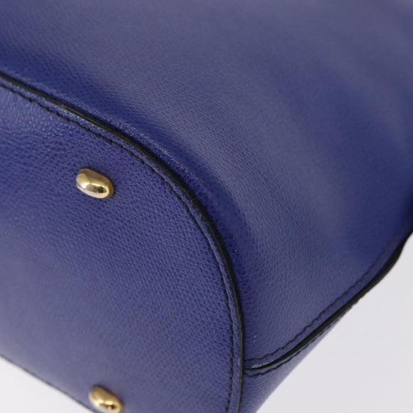 CELINE Hand Bag Leather Blue Gold Auth gh1466