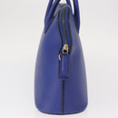 CELINE Hand Bag Leather Blue Gold Auth gh1466-5