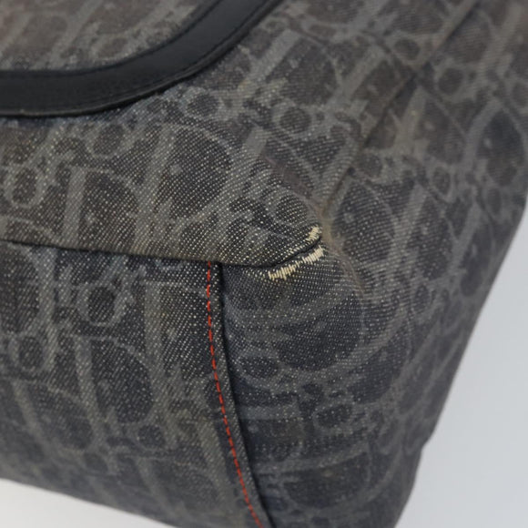 Christian Dior Trotter Canvas Shoulder Bag Navy Silver Auth gh1474