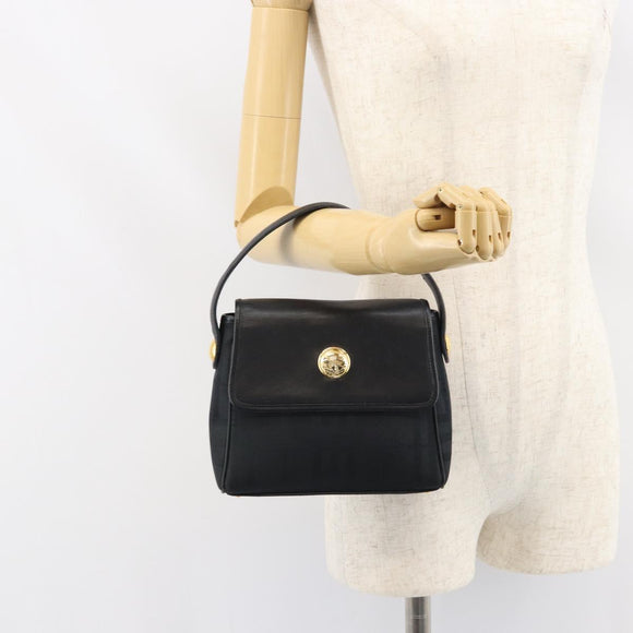 Burberrys Nova Check Hand Bag Leather Canvas Black Gold Auth gh1496