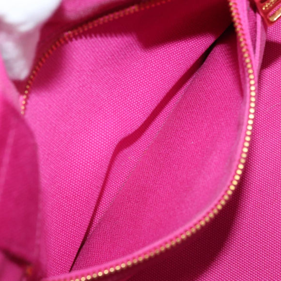 PRADA Canapa S Hand Bag Canvas Pink Gold Auth gh1928