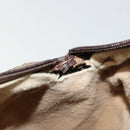 GUCCI GG Supreme Web Sherry Line Boston Bag PVC Beige Gold 010 378 Auth gh2078-23