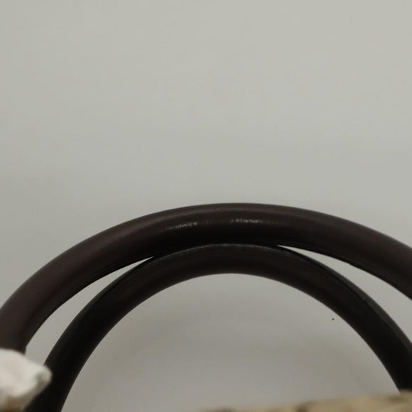 CELINE C Sulky Boston Bag Canvas Brown Gold Auth gh343