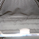 FENDI Hand Bag Leather 2way Shoulder Bag Gray Auth am2118g-21