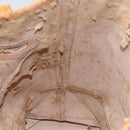 LOUIS VUITTON Monogram Bucket GM Shoulder Bag M42236 LV Auth hk2011-19