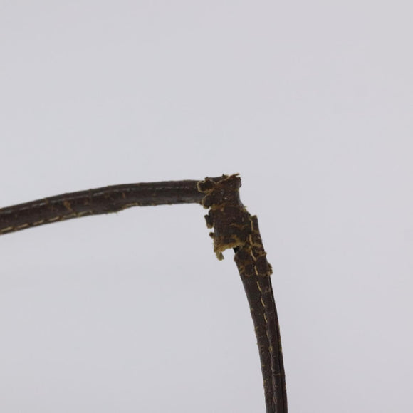 GUCCI GG Supreme Web Sherry Line Shoulder Bag PVC Beige 904 02 047 Auth hk2601