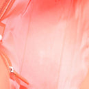 FENDI Mamma Baguette Shoulder Bag Nylon Orange Silver Auth hk2782-18