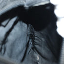 PRADA Shoulder Bag Nylon Black Silver Auth hk2903-22