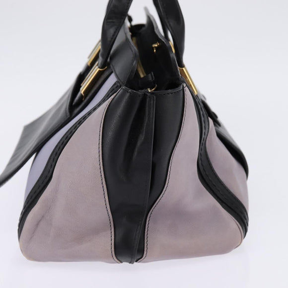 Chloe Alice Hand Bag Leather Purple Gold Auth hk3001
