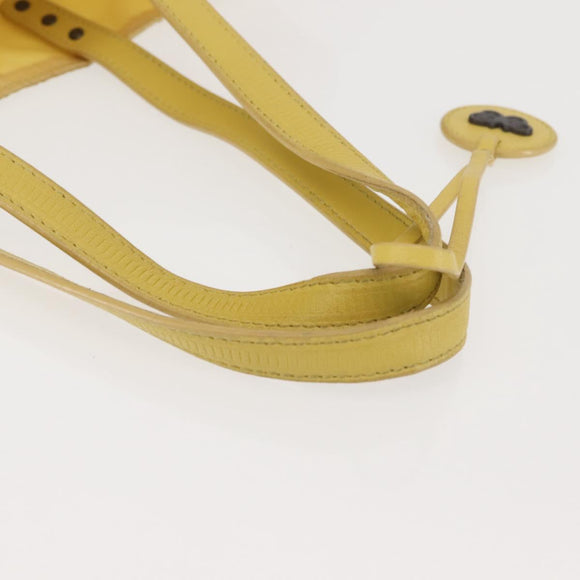 BOTTEGA VENETA Tote Bag Nylon Silver Auth hk3004