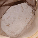 LOUIS VUITTON Monogram Bucket GM Shoulder Bag M42236 LV Auth hk3203-11