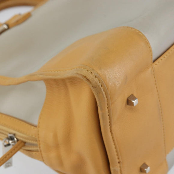 LOEWE Anagram Limited Model Amazona 30 Hand Bag Vinyl Clear Silver Auth hk3315