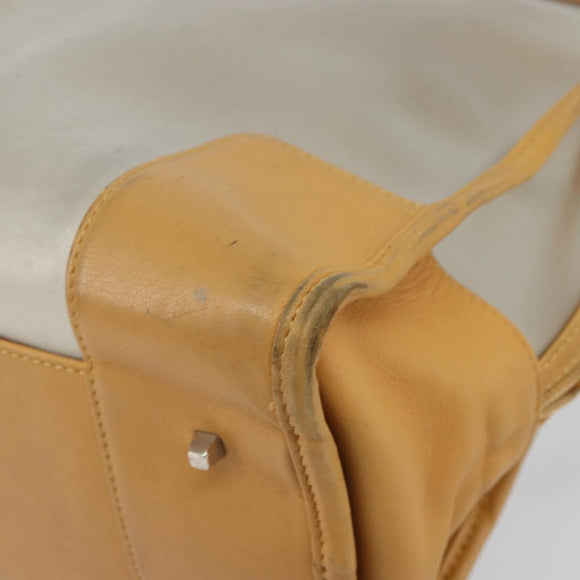 LOEWE Anagram Limited Model Amazona 30 Hand Bag Vinyl Clear Silver Auth hk3315