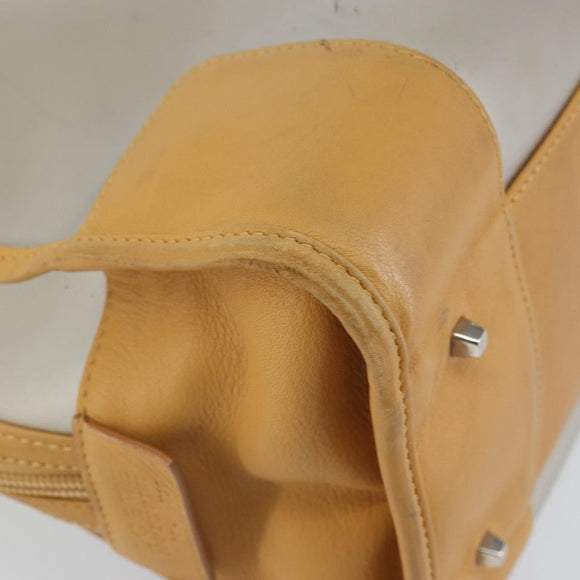 LOEWE Anagram Limited Model Amazona 30 Hand Bag Vinyl Clear Silver Auth hk3315