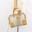 LOEWE Anagram Limited Model Amazona 30 Hand Bag Vinyl Clear Silver Auth hk3315-23