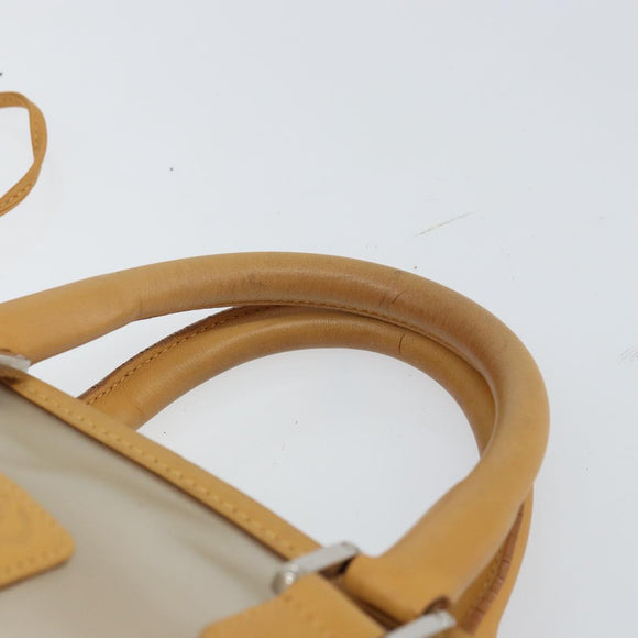 LOEWE Anagram Limited Model Amazona 30 Hand Bag Vinyl Clear Silver Auth hk3315