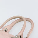 Christian Dior Canage Hand Bag Leather Pink Silver Auth hk3320-8